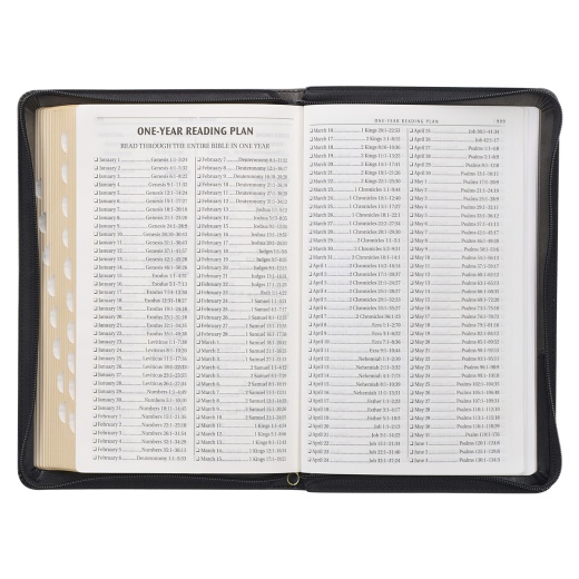 KJV Bible Deluxe Gift Faux Leather - Gray/Black W/Zipper