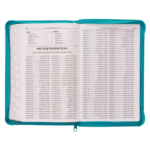 KJV Bible Deluxe Gift Faux Leather, Turquoise W/Zipper