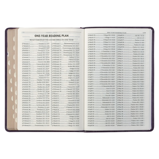 Kjv Bible Thinline Lp Faux Leather, Purple Floral