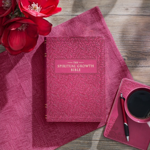 Nlt, The Spiritual Growth Bible Faux Leather, Berry