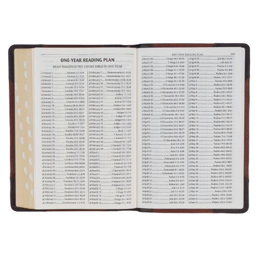Kjv Bible Thinline LP Full-Grain Leather, Mahogany/Saddle Tan