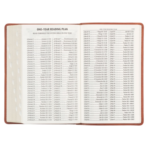KJV Bible Giant Print Standard-Size Faux Leather, Medium Brown