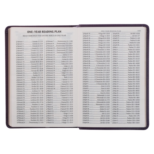 Kjv Bible Compact Lp Faux Leather, Purple
