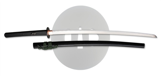Modern Katana By Dragon King