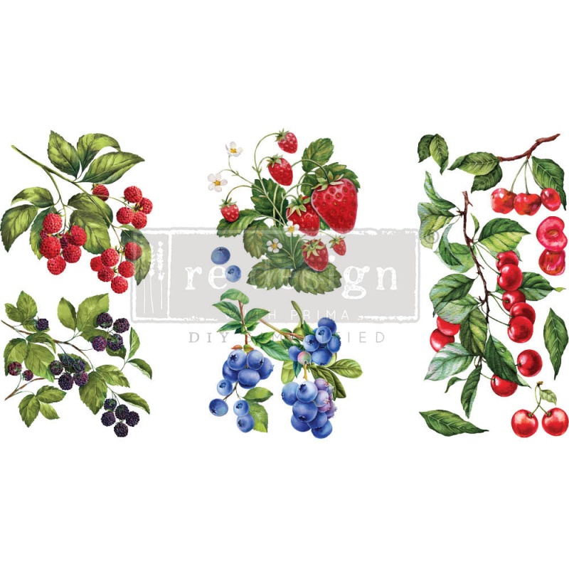 Sweet Berries - Rub-On Decor Mini-Transfer By Redesign With Prima! New Release!