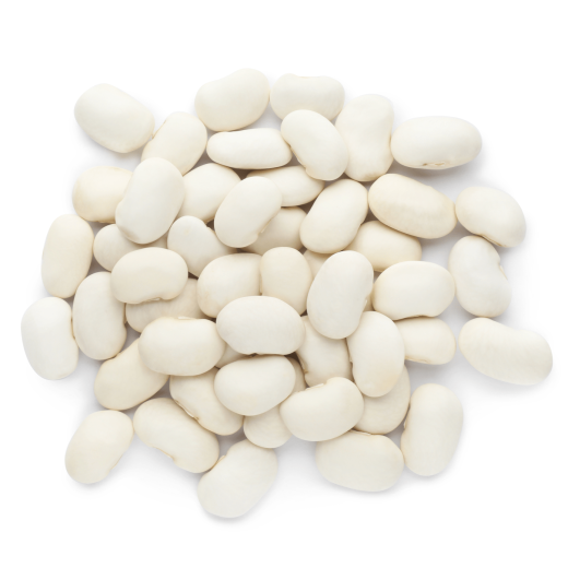 Navy Beans - The Wholesome Choice for a Healthy You