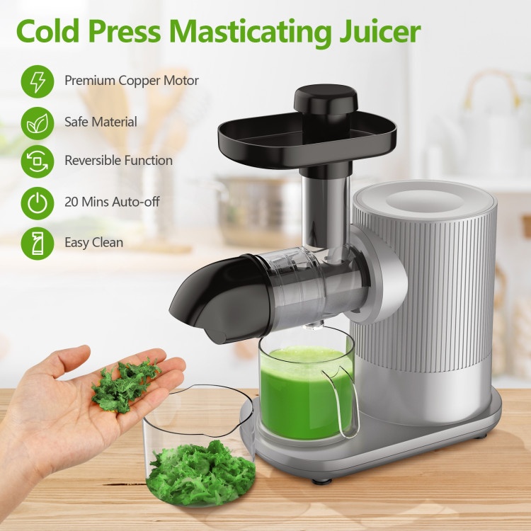 Horizontal Slow Masticating Extractor Juicer With Brush