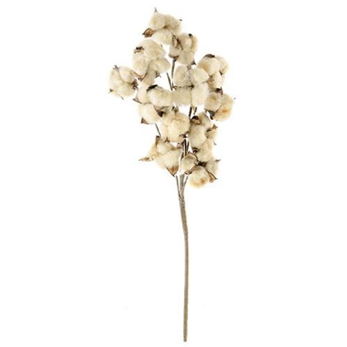 *Teastain Cotton Spray, 21"