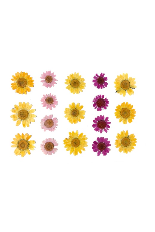 Donna Di Capri Yellow Dried Flower Body Stickers