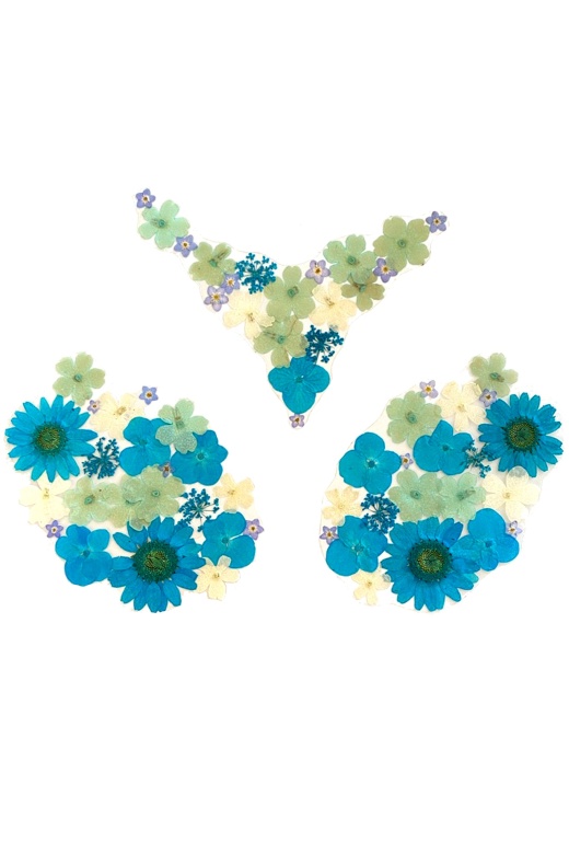 Donna Di Capri Blue Real Dried Flower Pasties