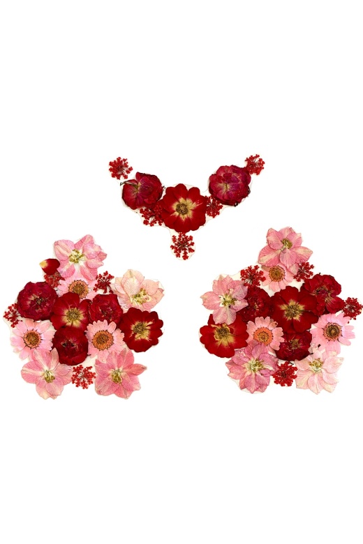 Donna Di Capri Red Real Dried Flower Pasties