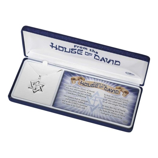 Nk-House Of David/Crs Sil Plt-Lbox 24"