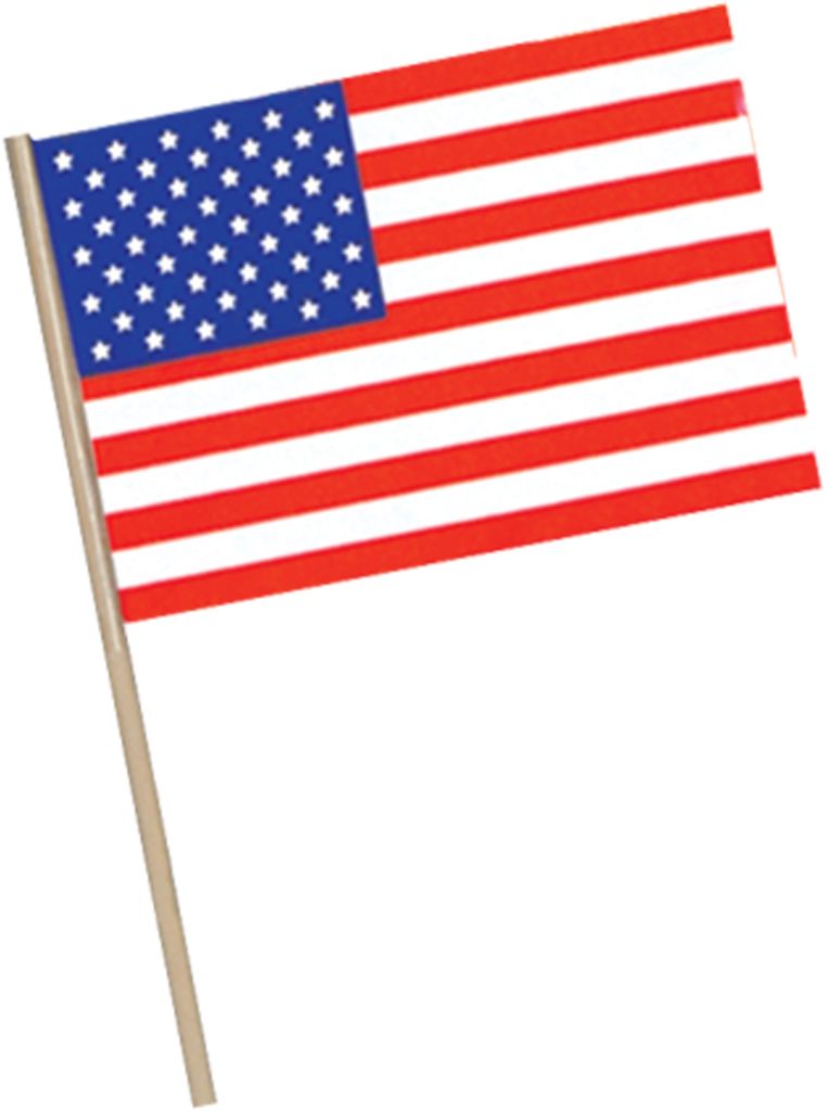 American Flag - Plastic - With 22 Wooden Stick