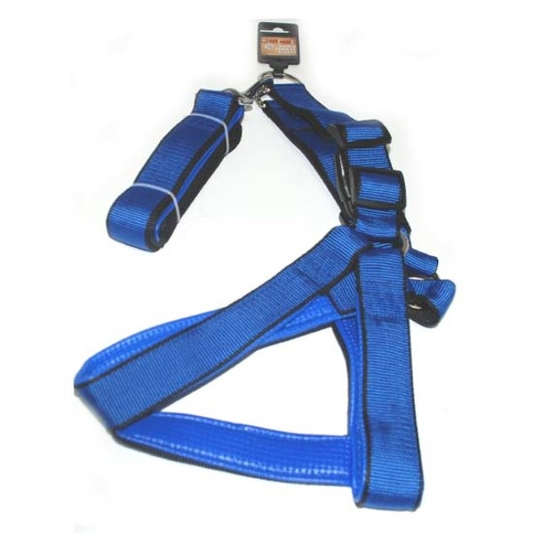 Pet Harness And Leash Set - Assorted Color