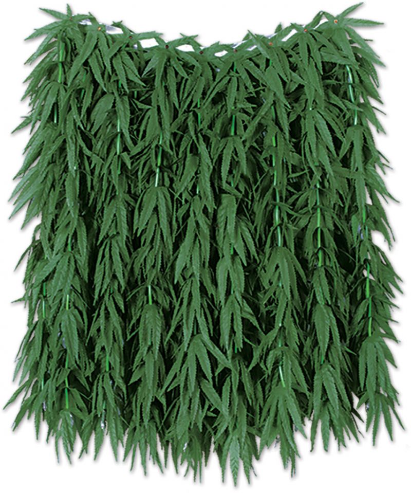Hula Skirts - Tropical Fern Leaf, 36" X 24"