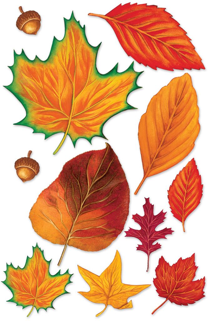 Fall Leaf Cutouts