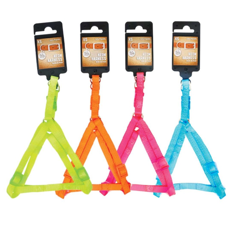 Pet Harnesses - Assorted Neon Colors, Xs Small