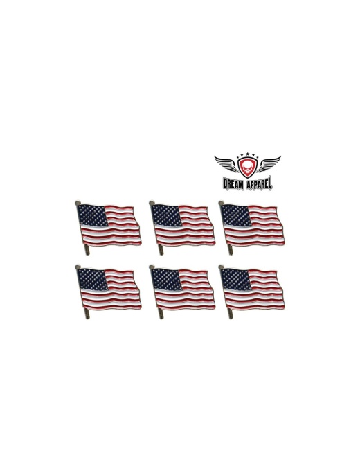 2" Chrome American Flag Pin
