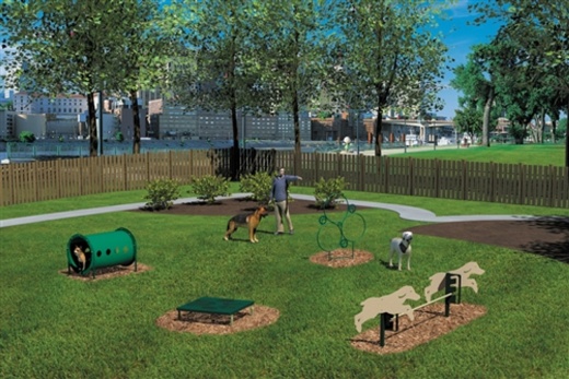 Novice Dog Park Kit - 4 Piece