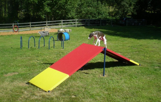 A-Frame Dog Park Ramp