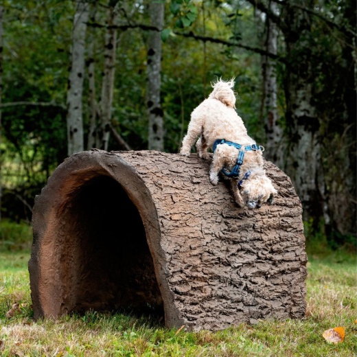 Naturedog Dog Through The Log - 4Ft