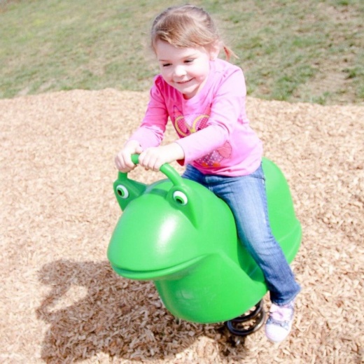 Filbert Frog Fun Bouncer