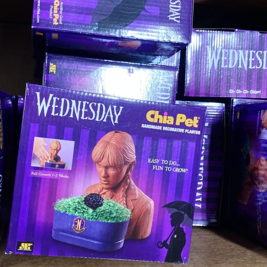 Wednesday Chia Pet Handmade Decorative Planter (40 Pcs Lot)