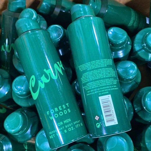 Curve Forest Woods For Men Deodorant Body Spray 6Oz (38 Pcs Lot)