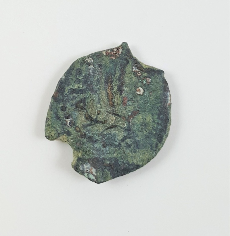 Render Unto Caesar: Judaean Coins Of The Augustus Procurators (Album)