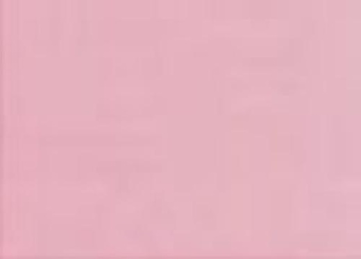 Pinta Perla Paint Skin - Unparalleled Elegance for Your Artwork