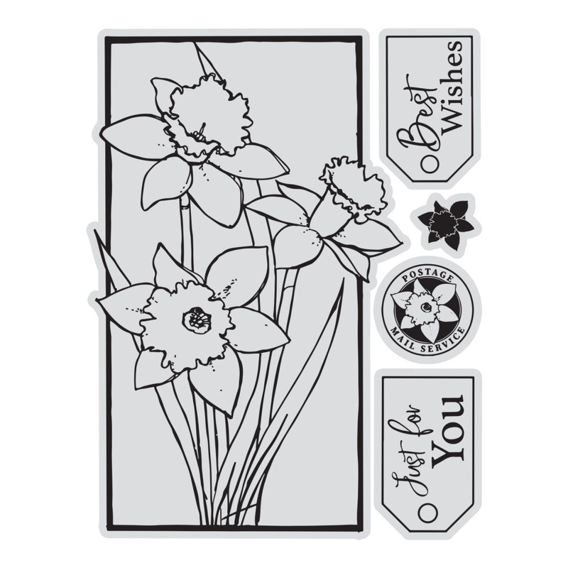 Couture Creations - Framed Daffodils Stamp & Colour Outline Stamps (5Pc)