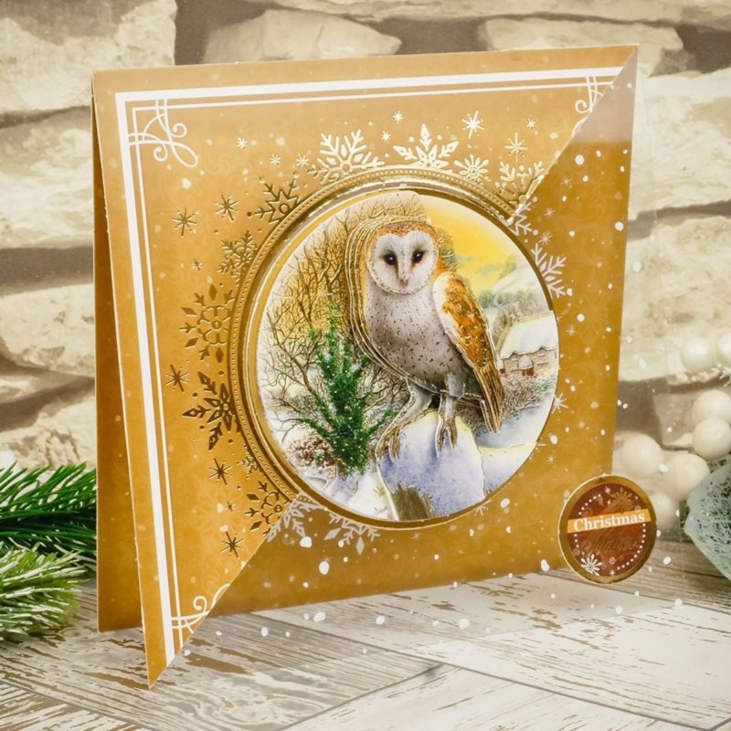 Winter Delightful Birds Decoupage Card Kit