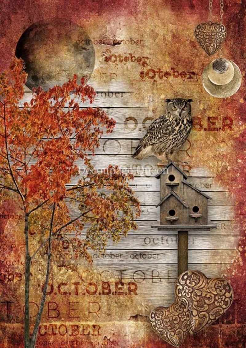 October Moon A4 Rice Paper - 5 Sheets