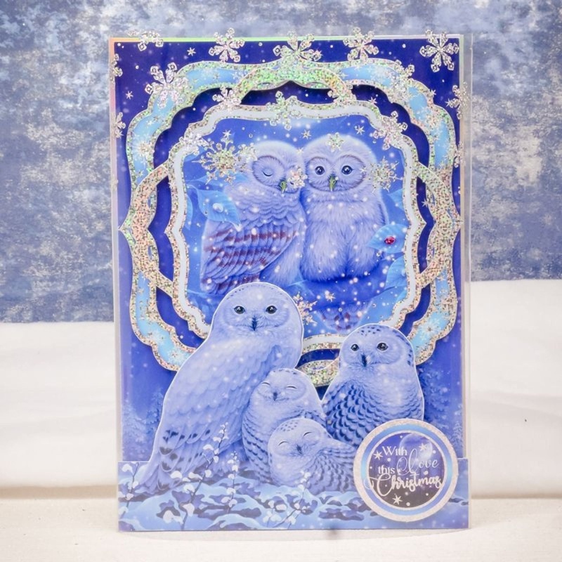 Owl I Want For Christmas Luxury Topper Set