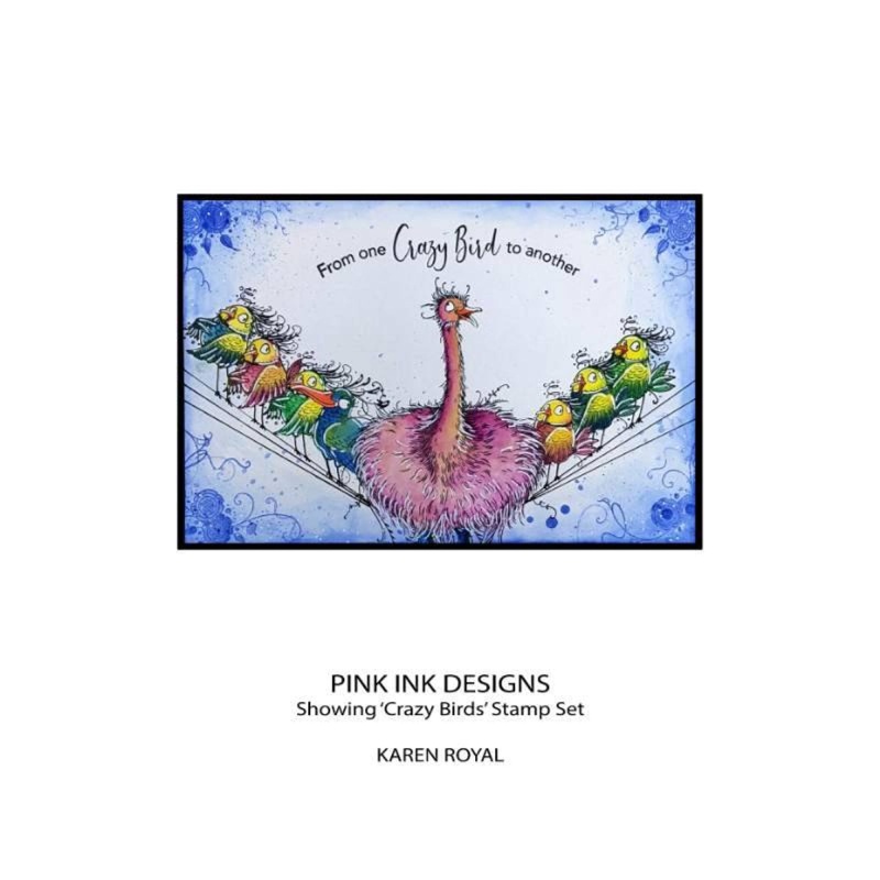 Pink Ink Designs Crazy Birds 6 In X 8 In Clear Stamp Set