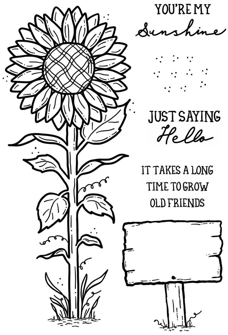 Creative Expressions Sam Poole Sunshine 6 In X 4 In Clear Stamp Set