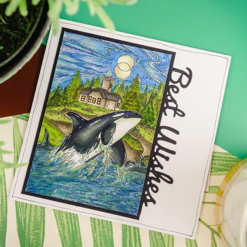 For The Love Of Stamps - Wonderful Whales