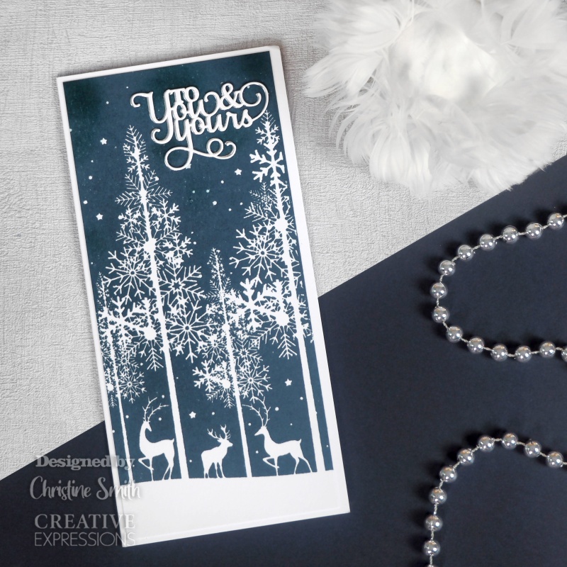 Creative Expressions Designer Boutique Nordic Winter Dl Rubber Stamp