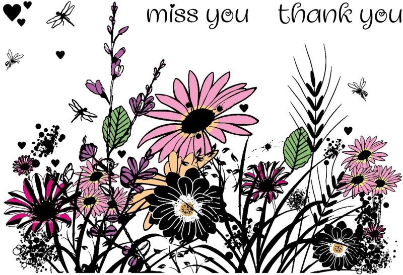 Creative Expressions Designer Boutique Woodland Walk Collection Wild Flowers A6 Clear Stamp Set