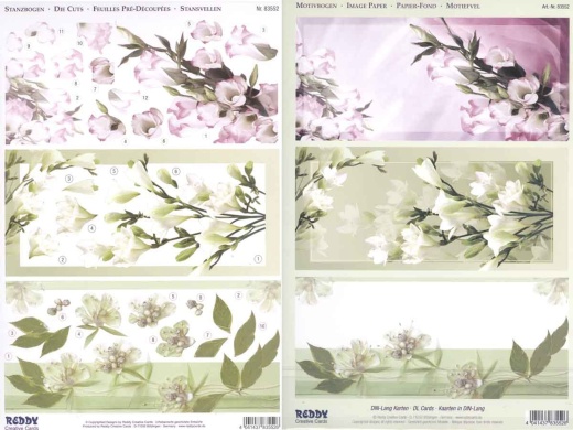 3D Precut - (2 Sheets)& Image Page Dl Cards