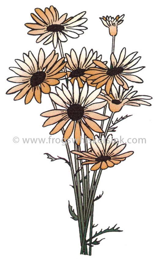 Frog's Whiskers Ink Stamps - Daisy Bouquet Cling Mount Stamp