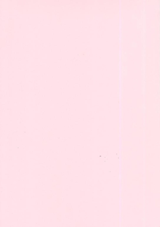 Foundation Cardstock 25 Shts 220 Gsm - Pink