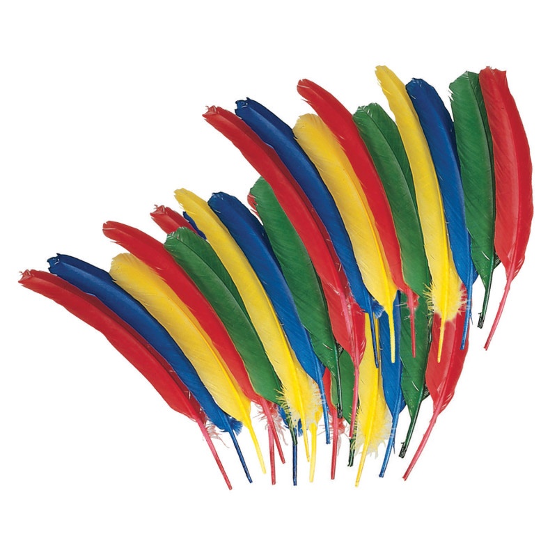 Quill Feathers 12In Asst Color 24Pk