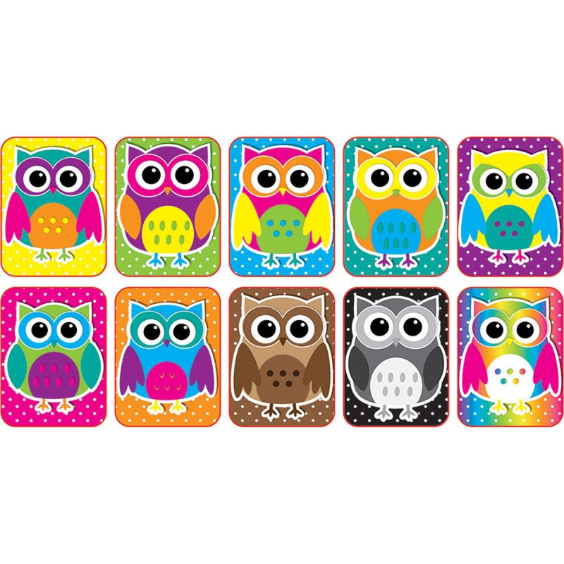 Color Owls Mini Whiteboard Erasers Non Magnetic