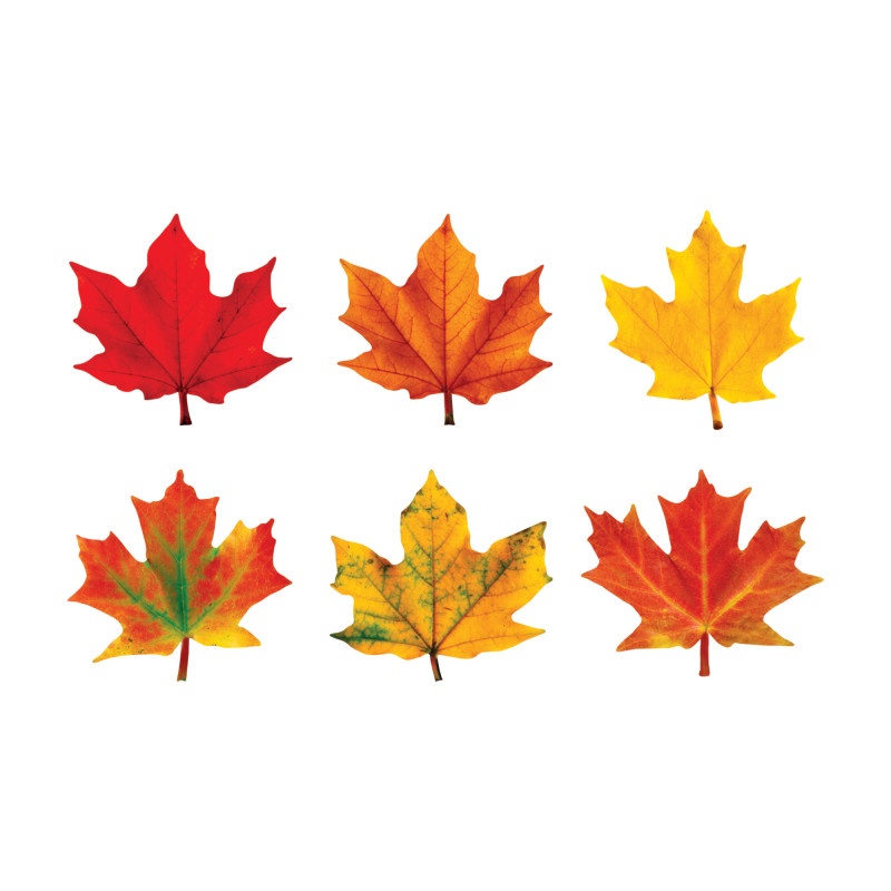 Classic Accents Maple Leaves Variety Pk-Discovery