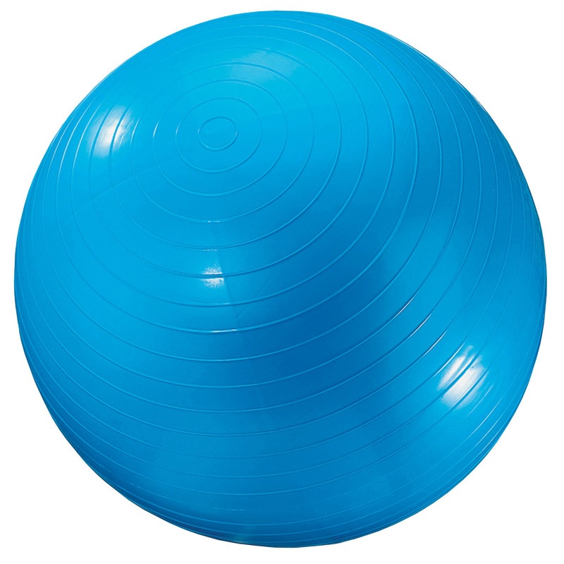 Exercise Ball 24In Blue