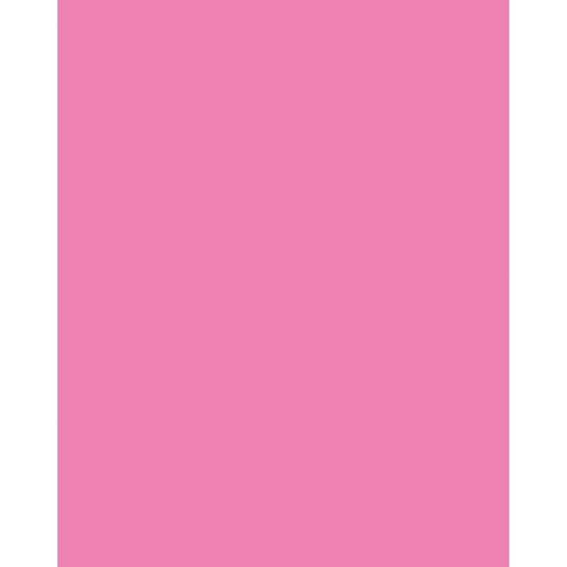 Poster Board Neon Pink 25/Ct