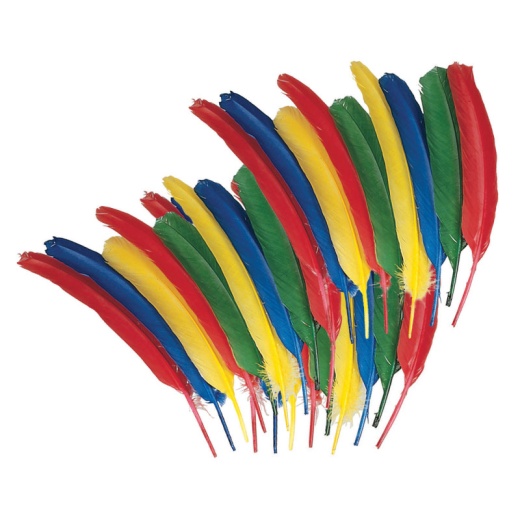 Quill Feathers 12In Asst Color 24Pk by Creativity Street