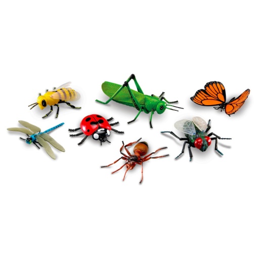 Jumbo Insects - Buy Online for Kids' Learning and Imagination