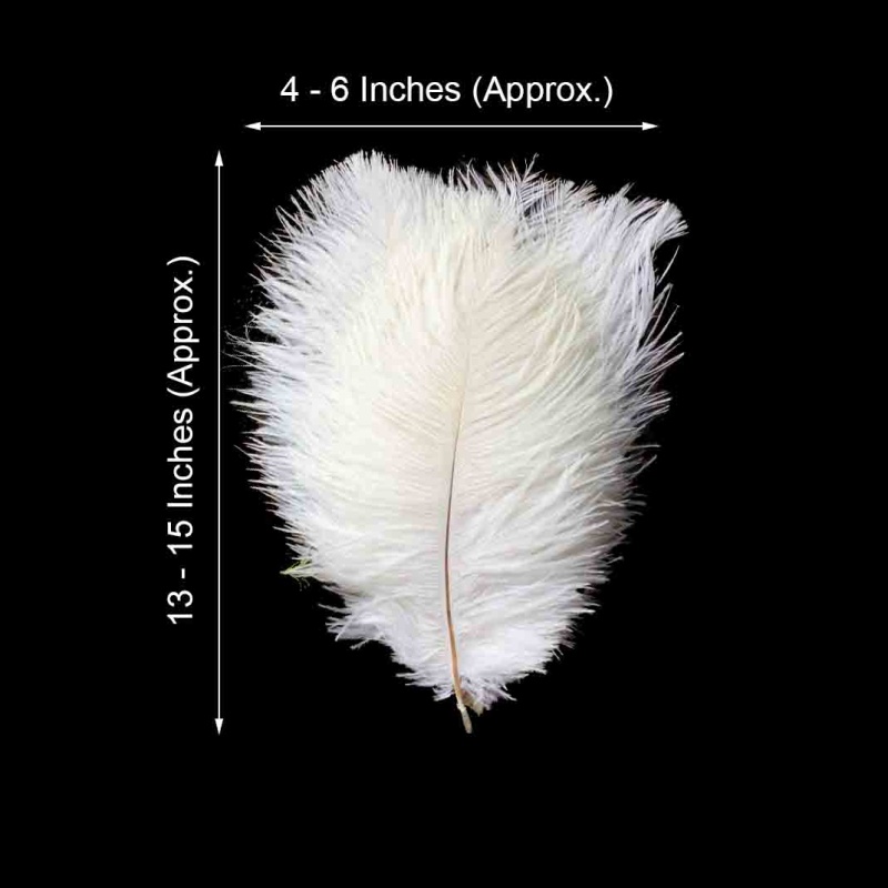 30 Pack Glitter Gold Tip White Real Turkey Feathers, Craft